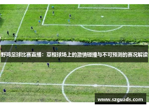 野鸡足球比赛直播：草根球场上的激情碰撞与不可预测的赛况解读