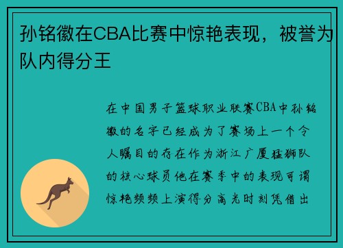 孙铭徽在CBA比赛中惊艳表现，被誉为队内得分王